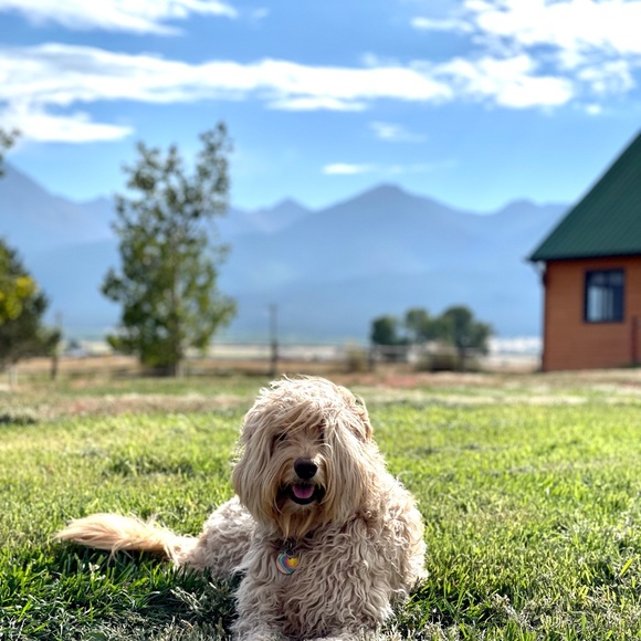 Adventure in my heart, pearls on my wrist-Free spirit wrapped in a silk scarf. - Picture 8 of 16